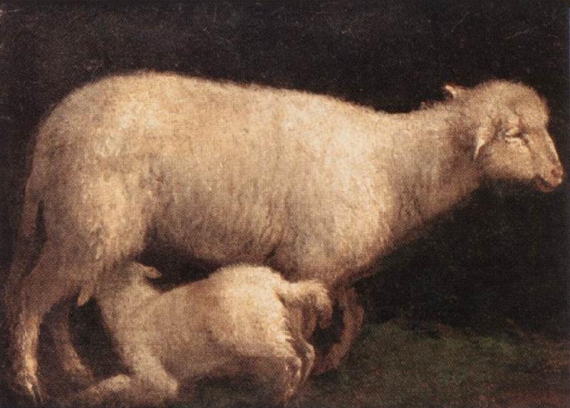 BASSANO, Jacopo Sheep and Lamb dghj France oil painting art